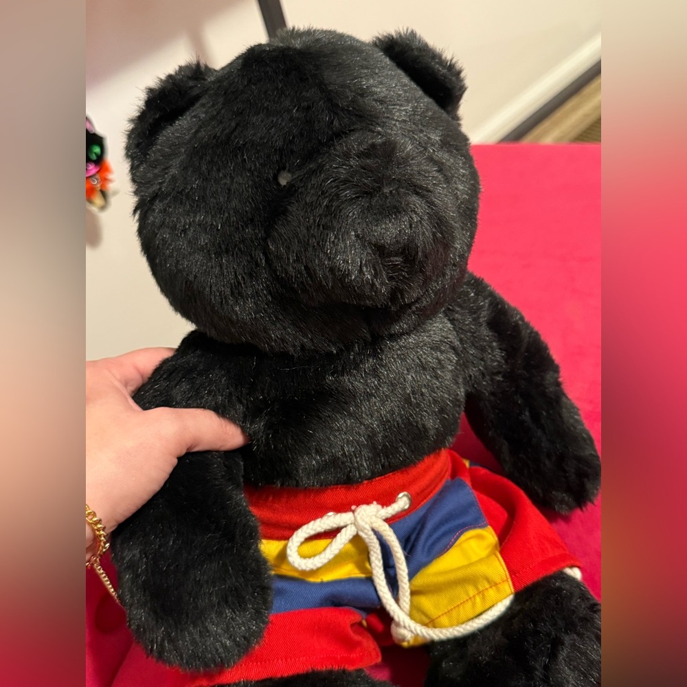 Build-A-Bear Black Plush Toy